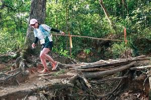 BIB: 
                            <button type="button" onclick="openModal(27555722)" class="btn btn-primary btn-sm float-right btn-popup" data-toggle="modal" data-target=".modal-high-quality">
                        <i class="fas fa-shopping-cart"></i> Add to Cart
                    </button>
                                            <button type="button" onclick="isThisMe(27555722, true)" class="btn btn-success btn-sm float-right btn-popup btn-isme hidden" data-toggle="tooltip" data-placement="bottom" title="นี่คือรูปของคุณใช่ไหม คลิกที่นี่เพื่อเอาเข้าอัลบั้ม">
                        <i class="fas fa-plus"></i> Add to album
                    </button>
                    <button type="button" onclick="isThisMe(27555722, false)" class="btn btn-warning btn-sm float-right btn-popup btn-isnotme hidden">
                        <i class="fas fa-ban"></i> Remove from album
                    </button>